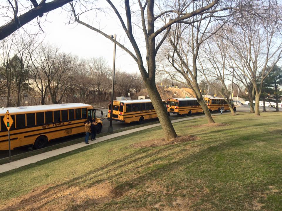 Buses lined up along a tree-lined street curb.
